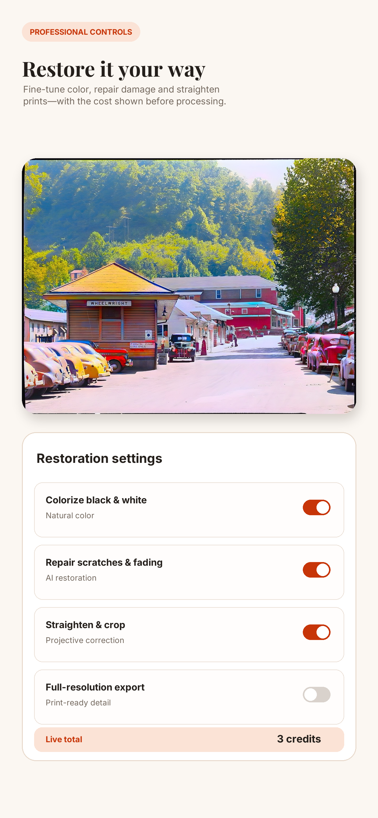 Recolor the Past restoration settings with Colorize enabled