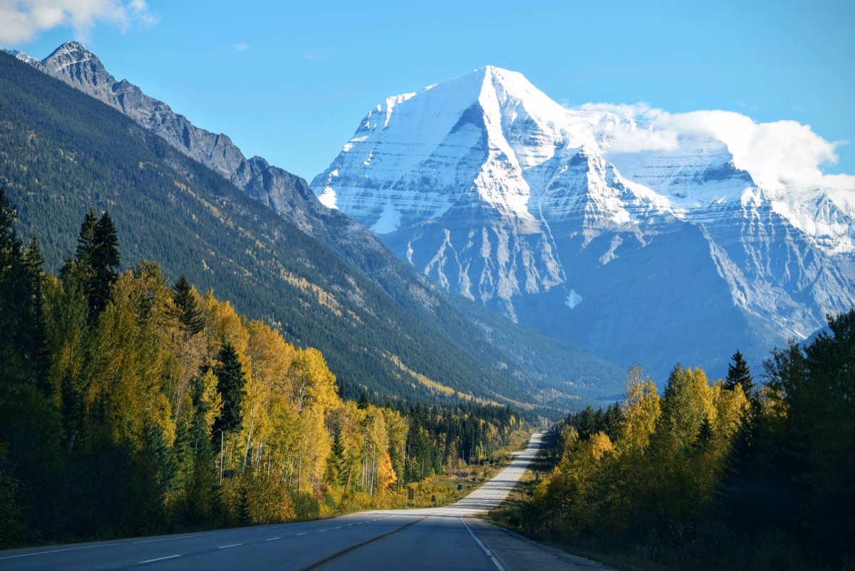 A faded colour photograph of a snow-capped mountain and an autumn forest road