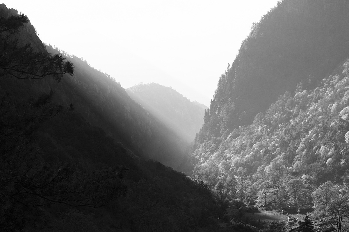 A black-and-white photograph of a forested mountain valley at dusk